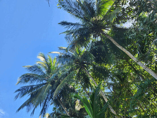 Pasted image 20251222143604_c53ad7a2.jpg